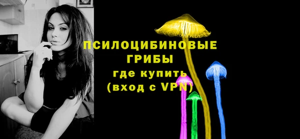 spice Абаза