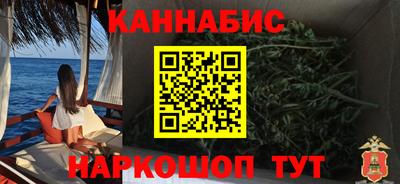 прущие крисы Гатчина