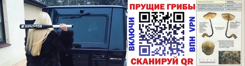 цены наркотик  Великий Новгород  Галлюциногенные грибы Psilocybe 