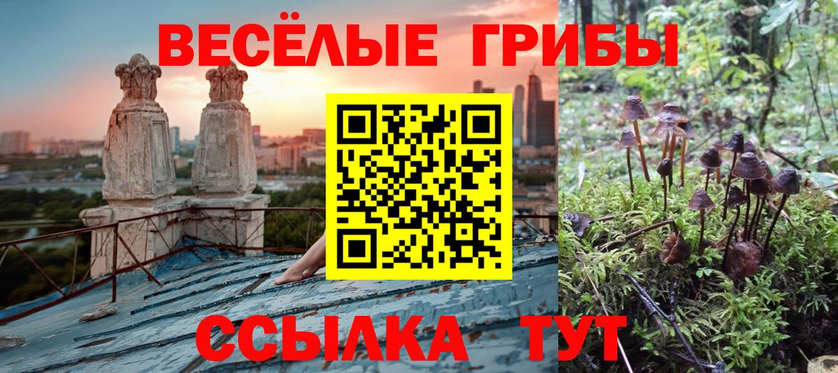 Псилоцибиновые грибы Magic Shrooms Великий Новгород