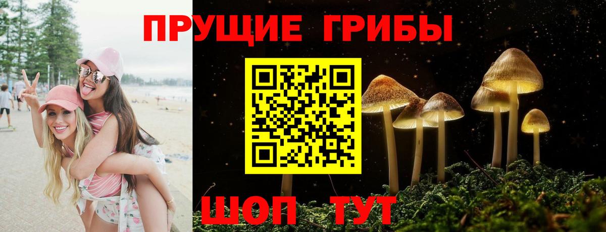 Галлюциногенные грибы MAGIC MUSHROOMS  Вход с VPN  Великий Новгород 